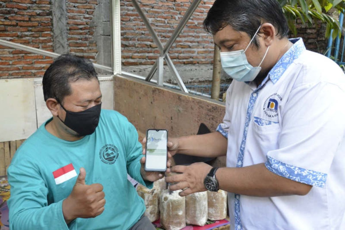 Udinus Ciptakan "Smart Agrologistik" untuk Mudahkan Petani Jamur